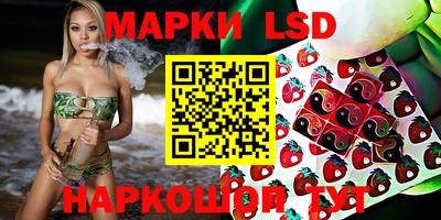 индика Можайск