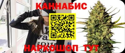 индика Можайск