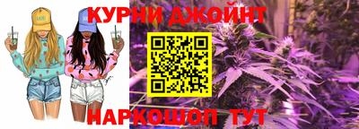 индика Можайск