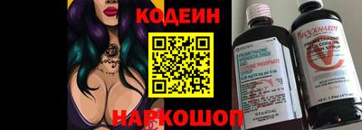 индика Можайск