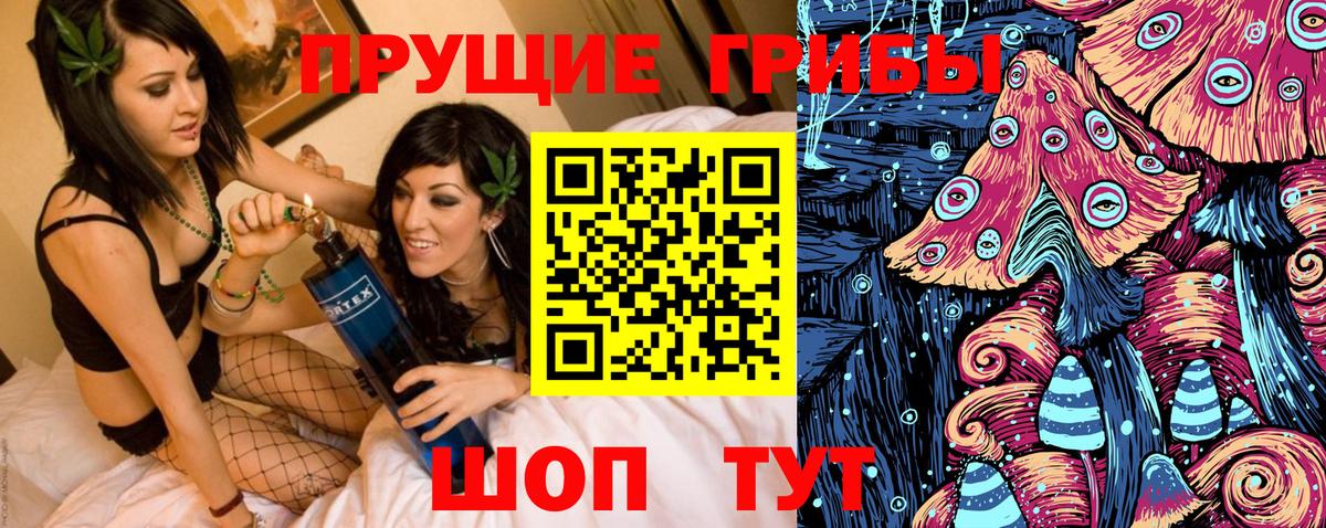 Ставрополь  Псилоцибиновые грибы Cubensis  Вход с VPN 